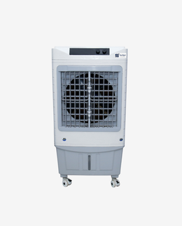 Curvv 60