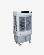 Curvv 60